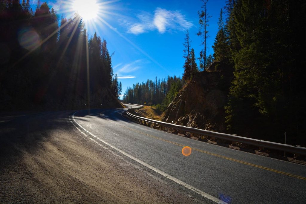 Scenic, winding mountain road bathed in sunlight, surrounded by tall pine trees under a vibrant blue sky.