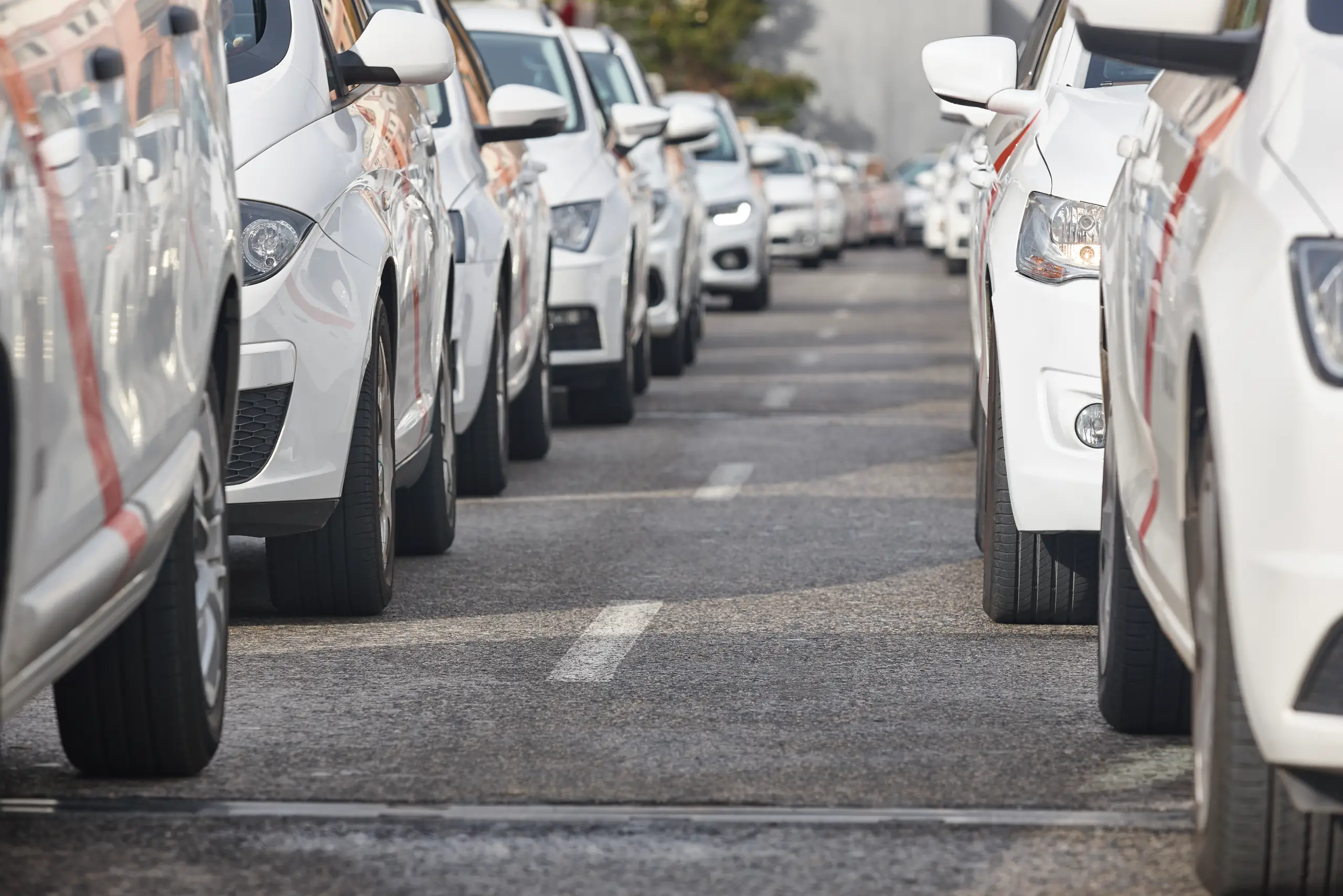 A uniform fleet of white vehicles is parked bumper-to-bumper along both sides of a city street, stretching into the distance in an organized line.