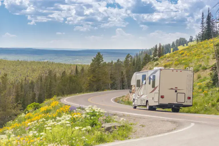 title for a vehicle - Montana Registration Services